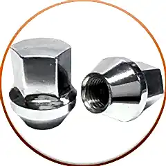Bijon Somunu